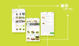 蓝海电商－航空育种农业的领先品牌