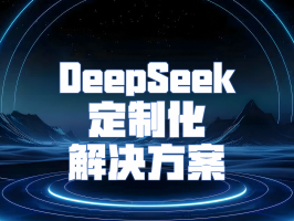 DeepSeek 定制化解决方案：解锁企业发展新可能