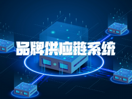 品牌供应链系统：构建品牌竞争新优势的核心引擎