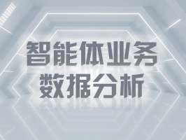 智能体业务数据分析：解锁商业决策新范式